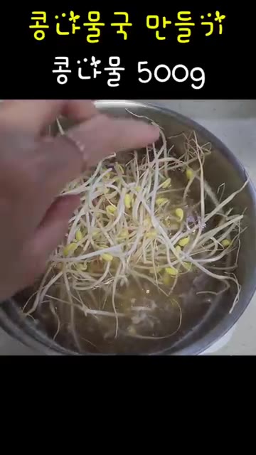 끓는 물에 콩나물 500g을 넣고 3분간 데친 후 건져낸다. — 콩나물 한 봉지로 콩나물국 & 콩나물무침 만들기