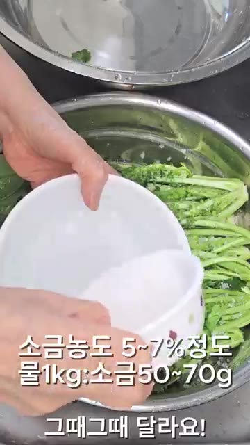 볼에 홍갓을 담고 소금을 솔솔 뿌려줍니다. 물 1kg에 소금 50~… — 알싸매콤한 홍갓김치! 이 맛은 못 참죠~!