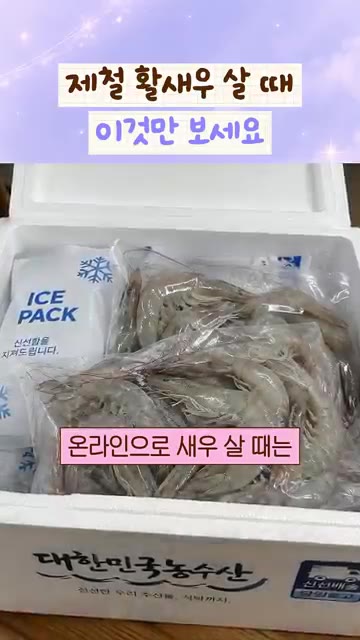 활새우 크기를 보고 구매하세요. 미수가 작을수록 더 크고 통통합니다. — 제철 활새우 살 때 이것만 보세요