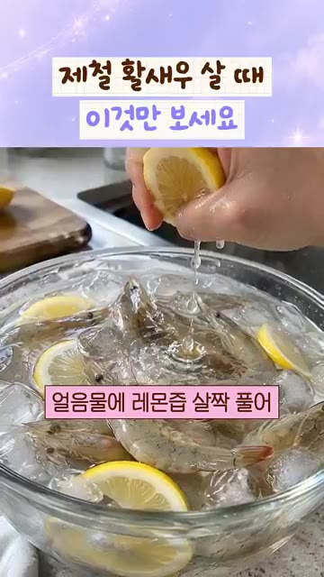 통통한 구이나 횟감은 30미 안팎으로 골라보세요. — 제철 활새우 살 때 이것만 보세요