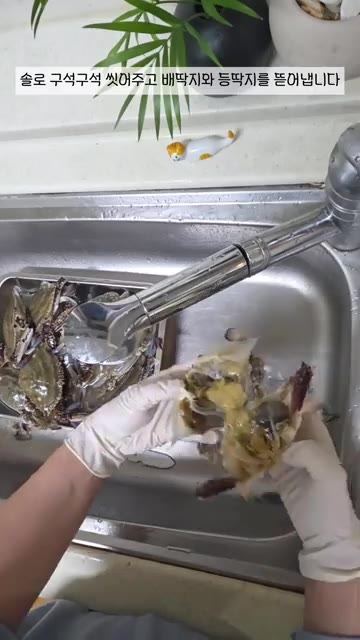 꽃게를 손질합니다. 솔로 구석구석 씻어주고 배딱지와 등딱지를 떼어냅… — 꽃게탕 맛있게 끓이기