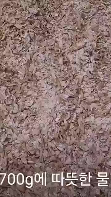 엿기름 700g에 따뜻한 물 3L를 붓고 20분 정도 불린 후 체에… — 늙은 호박으로 꿀보다 달고 맛있는 조청 만들기