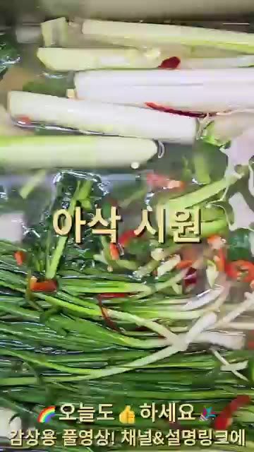 청무를 손질하고 깨끗하게 씻어줍니다. 무청과 홍갓도 깨끗이 씻어 준… — 아삭시원한 청무물김치! 이 맛은 못 참죠!
