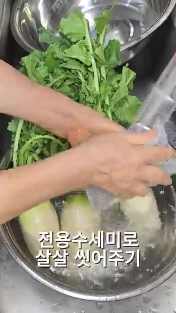 청무는 취향에 따라 3뿌리 정도를 적당한 크기로 썰어줍니다. 무청… — 아삭시원한 청무물김치! 이 맛은 못 참죠!