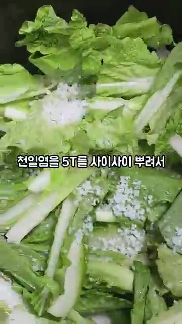 물에 살짝 씻어서 천일염 5T를 사이사이 뿌려 약 1시간 절여주세요. — 단배추 얼갈이 김치 만들기