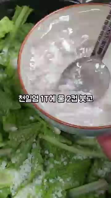 천일염 1T에 물 2컵을 붓고 잘 녹여주세요. — 단배추 얼갈이 김치 만들기