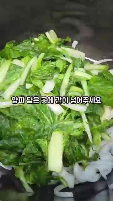 절여둔 배추도 다 넣어주세요. — 단배추 얼갈이 김치 만들기