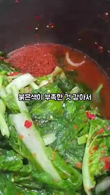 붉은색이 부족한 것 같아서 고춧가루 5T를 국물에 섞었어요. 조금… — 단배추 얼갈이 김치 만들기