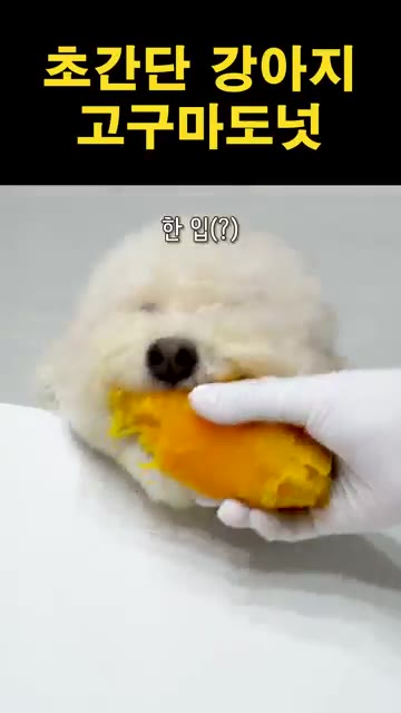 찐 고구마의 껍질을 벗기고 으깬 후 올리브오일을 넣고 잘 섞어줍니다. — 초간단 강아지 고구마 도넛 만들기