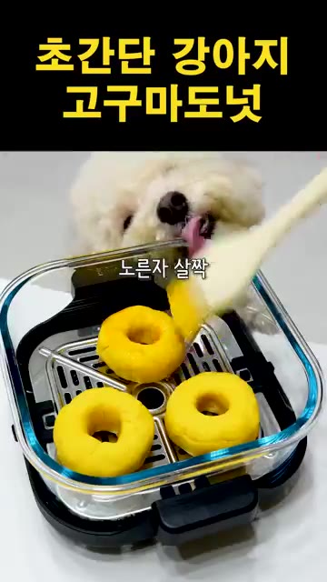 반죽을 도넛 모양으로 만들어 줍니다. 도넛 윗면에 노른자를 살짝 발… — 초간단 강아지 고구마 도넛 만들기