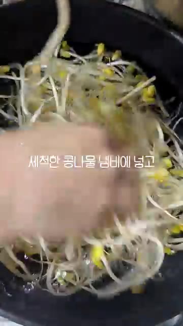 세척한 콩나물을 끓는 물에 소금 1큰술을 넣고 뚜껑을 열고 5분간… — 콩나물로 두 가지 반찬 바로 만들죠