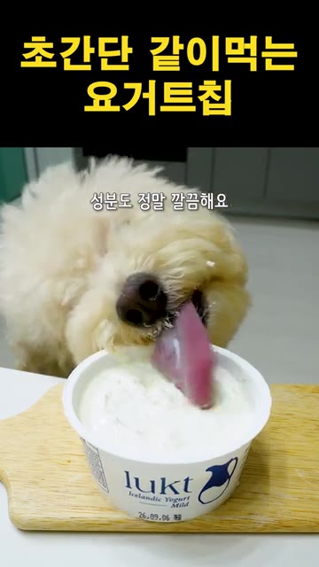 종이호일 위에 요거트를 한입 크기로 떠서 올린다. — 초간단 같이 먹는 요거트 칩 레시피