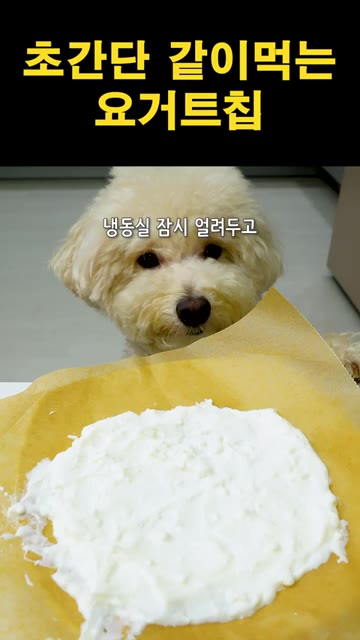 요거트 위에 그래놀라를 듬뿍 올린다. — 초간단 같이 먹는 요거트 칩 레시피