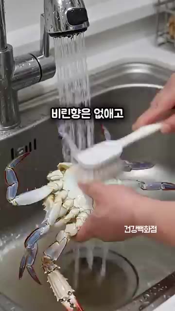찜기에 이것 하나 깔아주면 비린 향은 없애고 깔끔하게 찔 수 있습니다. — 제철 꽃게 찔 때 이것 하나 깔아보세요! 비린내 없이 깔끔합니다!