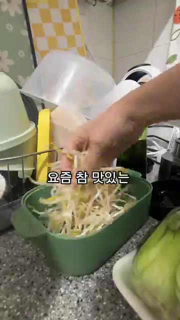 전자레인지 용기에 숙주, 청경채, 팽이버섯을 담는다. — 초간단 10분 전자레인지 우삼겹 야채찜