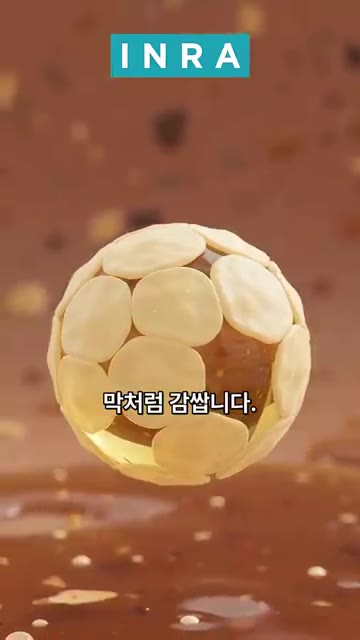 달걀 노른자를 넣고 잘 섞어 마요네즈처럼 걸쭉한 소스를 만든다. 이… — BTS 정국 님의 들기름 막국수 레시피