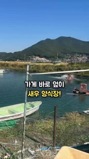 수조에서 바로 건진 싱싱한 왕새우를 소금 위에 올립니다. — 양식장 바로 옆 싱싱한 대하구이