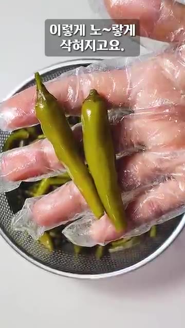끓인 소금물을 한 김 식혀 고추가 담긴 용기에 붓고, 무거운 접시를… — 완전 갱상도식 밥도둑! 삭힌 고추장아찌