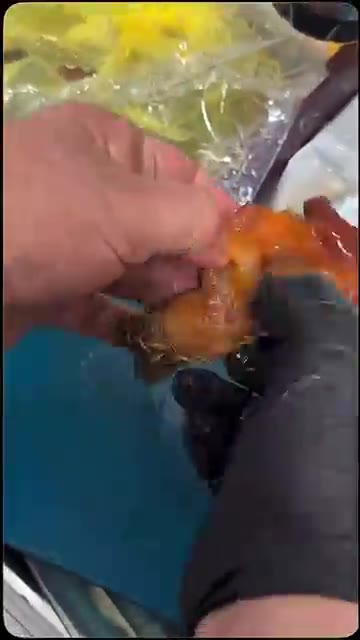 싱싱한 멍게 5kg을 준비하여 손질합니다. — 맛있는 멍게젓갈 만들기