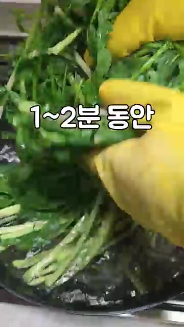 끓는 물에 미나리를 넣고 1~2분 동안 데쳐주세요. — 향긋한 미나리나물 만들기