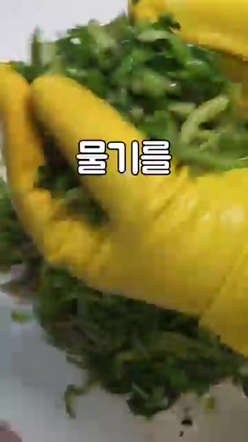 깨끗하게 씻은 미나리를 적당한 크기로 썰고 물기를 꼭 짜주세요. — 향긋한 미나리나물 만들기