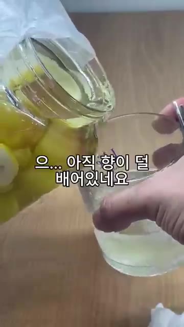완성된 담금주를 잔에 따라 얼음과 함께 마셔봅니다. 아직 향이 덜… — 처치 곤란 샤인머스켓에 보드카 부었더니 영롱함 미쳤음