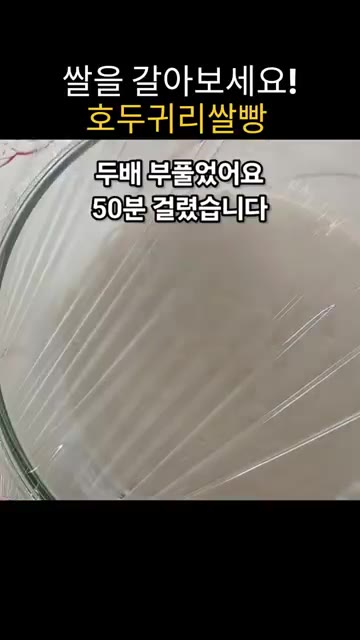 반죽 위에 호두를 올리고 따뜻한 곳에서 1.5배 부풀 때까지 발효합니다. — 집에서 쌀 갈아 만드는 고소하고 쫀득한 호두귀리쌀빵