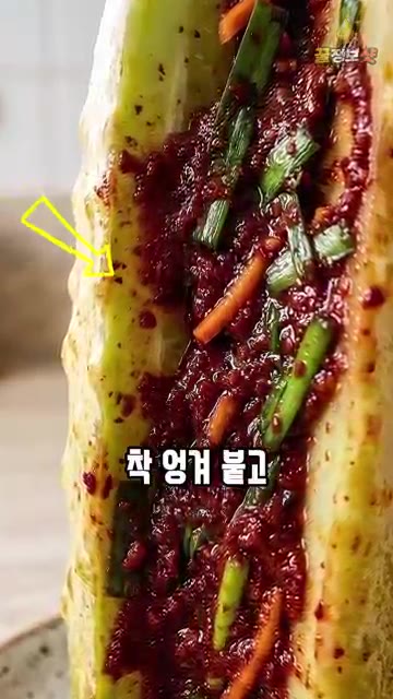 백오이 10개는 끝 1cm를 남기고 열십자로 칼집을 낸 뒤, 천일염… — 3대째 백반집 오이소박이 황금레시피: 고춧가루만 풀지 마세요!