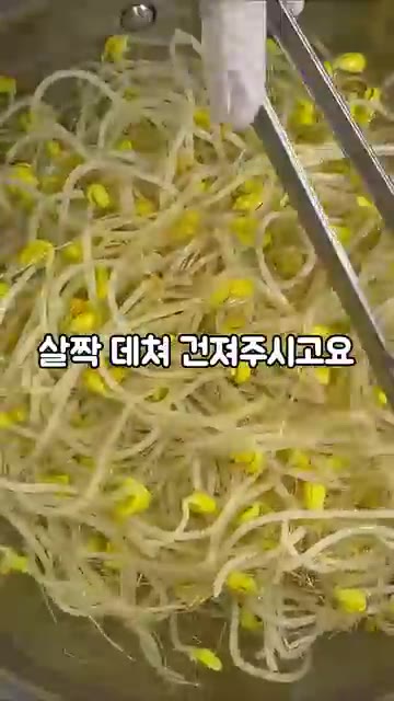 콩나물은 아삭함이 살도록 딱 숨만 죽을 정도로만 살짝 데쳐 건져주세요. — 아삭함 폭발하는 콩나물무침, 이렇게 무치면 반칙이지!
