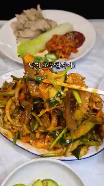 밥도둑 낙지볶음과 입맛 돋우는 새콤매콤한 낙지초무침을 즐깁니다. — 무안낙지골목에서 보쌈도 시킨 이유｜가브리 김치보쌈과 낙지 한 상