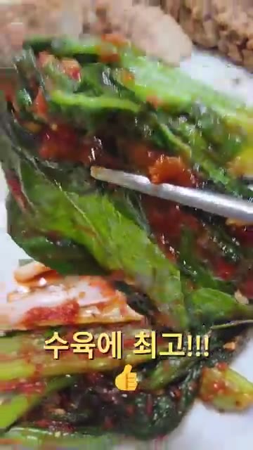 산초장아찌와 마늘양파장아찌를 곁들여낸다. — 26년 가을 집밥일기! 삼겹수육 & 새우젓 & 쪽파김치 & 노지알타리무김치 & 여수돌산갓김치 & 산초장아찌 & 마늘양파장아찌!