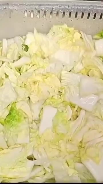 알배추 1통을 깨끗이 씻어 20분간 절인다. — 초간단 알배추 겉절이 만들기