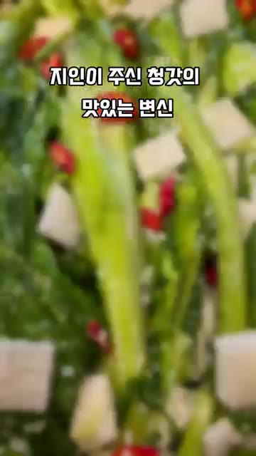 청갓은 깨끗이 씻어 물기를 제거하고 먹기 좋은 크기로 자른다. 무는… — 지인이 준 청갓의 맛있는 변신