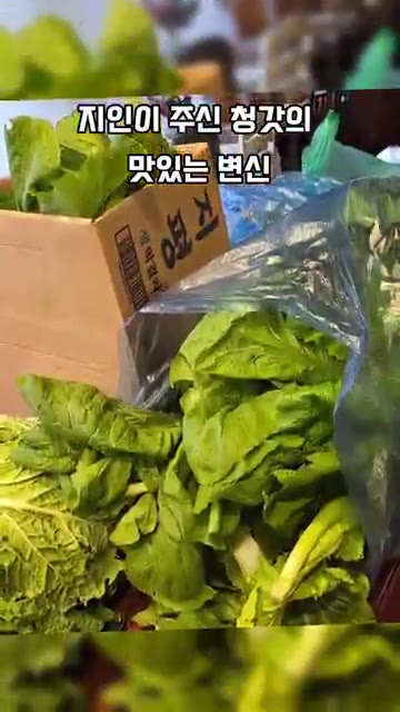 볼에 찹쌀풀, 새우젓, 멸치액젓, 다진 마늘, 다진 생강, 고춧가루… — 지인이 준 청갓의 맛있는 변신