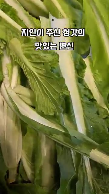 만든 양념에 청갓, 무, 쪽파, 홍고추를 넣고 버무린다. — 지인이 준 청갓의 맛있는 변신