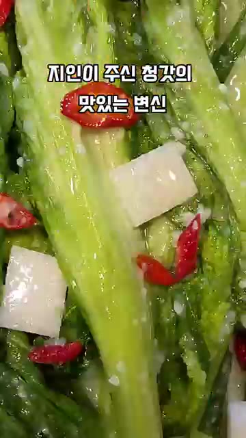 김치통에 담아 숙성시킨다. — 지인이 준 청갓의 맛있는 변신