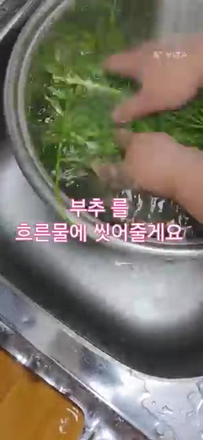 부추는 흐르는 물에 살살 흔들어가며 깨끗하게 씻어줍니다. — 미니 오이소박이 맛있게 만드는 방법