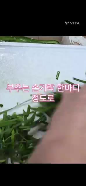 양파 2개를 얇게 채 썰어주고, 부추는 손가락 한마디 정도로 작게… — 미니 오이소박이 맛있게 만드는 방법