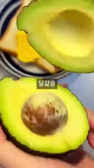 구운 식빵 위에 스크램블 에그를 올리고, 잘 익은 아보카도를 썰어… — 아침 메뉴 고민 끝! 담백함 끝판왕 아보카도 에그 토스트 🍞🥑🍳