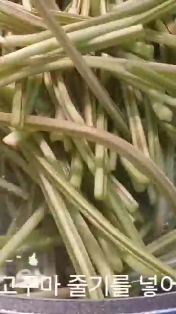 고구마 줄기를 적당한 길이로 잘라 껍질을 벗기고 끓는 물에 넣어 1… — 고구마 줄기 볶음 황금 레시피