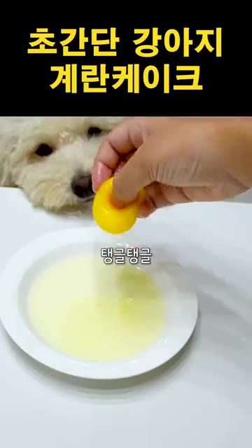 계란을 깨서 흰자와 노른자를 분리한다. 계란 2개를 풀어주고, 흰자… — 초간단 강아지 계란 케이크 만들기