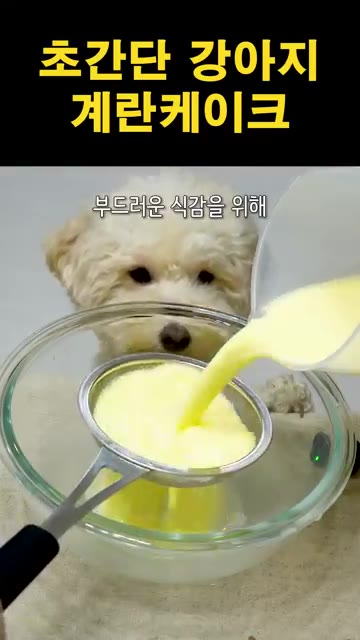 계란물에 우유 또는 펫밀크를 넣고 체에 한번 걸러준다. 그릇에 부어준다. — 초간단 강아지 계란 케이크 만들기