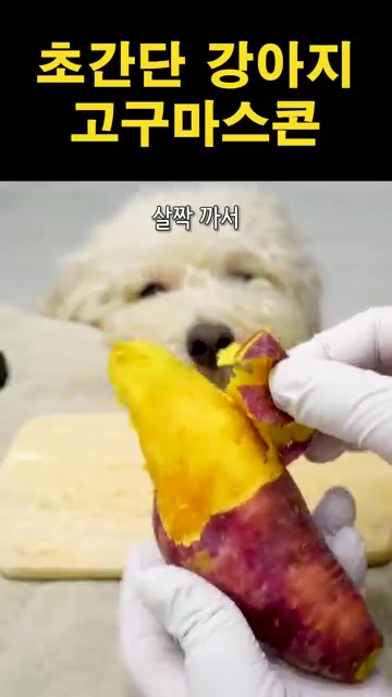 찐 고구마의 껍질을 벗기고 듬성듬성 잘라줍니다. — 초간단 강아지 고구마 스콘 만들기