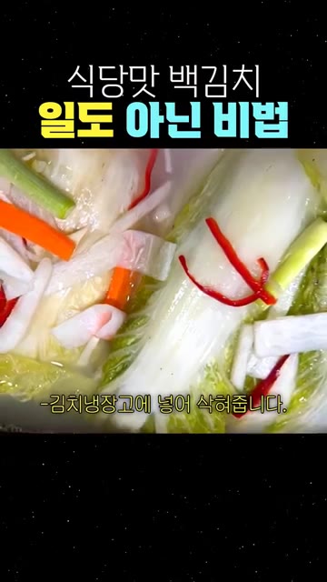 배추 잎마다 밀가루 풀과 설탕, 신화당을 섞은 소를 뭉텅뭉텅 서너… — 식당맛 백김치, 일도 아닌 비법