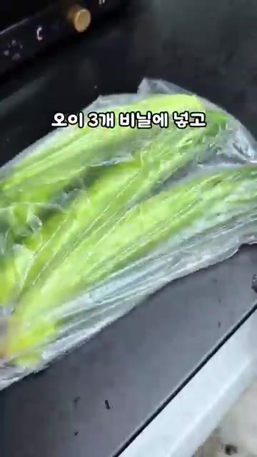 오이 끝부분을 자르고 비닐봉지에 넣어 방망이로 탕탕 쳐서 부숴줍니다. — 칼 쓰지 마세요! 오이는 '이것'으로 부숴야 제맛! 🥒🍻(이자카야 오이무침)
