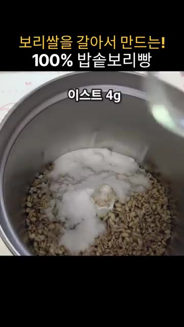 하루밤 불린 늘보리쌀 250g을 물기를 빼고 믹서기에 넣습니다. 소… — 밥솥으로 만드는 100% 보리빵 레시피