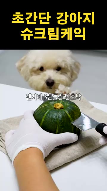 팬에 반죽을 붓고 약불에서 약 3분간 저어가며 꾸덕한 슈크림 상태가… — 초간단 강아지 슈크림 케이크 만들기