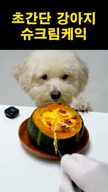 파낸 단호박에 슈크림을 채워 넣습니다. — 초간단 강아지 슈크림 케이크 만들기