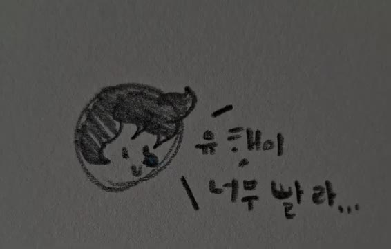 계란 프라이를 만들어 비빔밥 위에 올린다. — 어째서 유행은 이래 빠른 거야~ㅠㅠ #드쫀쿠 #봄동비빔밥 #버터떡