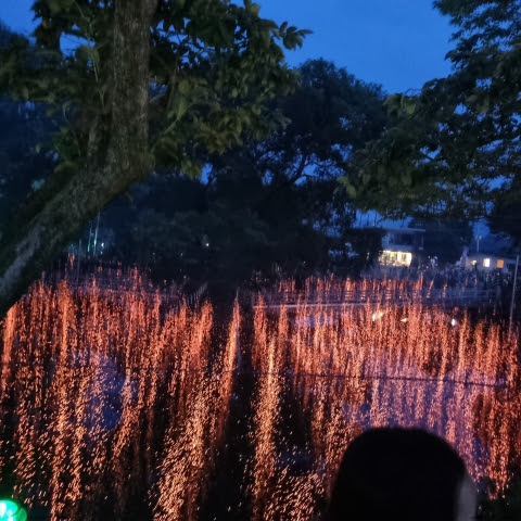 우유리생각 프로필